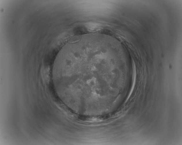 X0000066000319200603031227