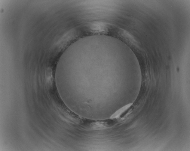 X0000066000320200603031227