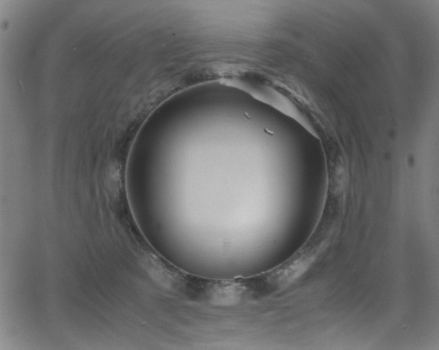 X0000066000321200603031227