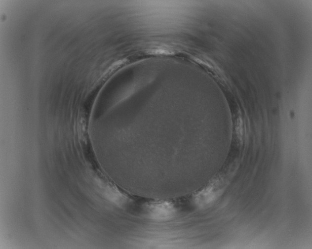 X0000066000322200603031227