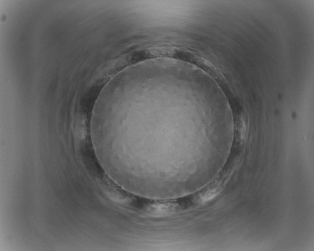 X0000066000323200603031227