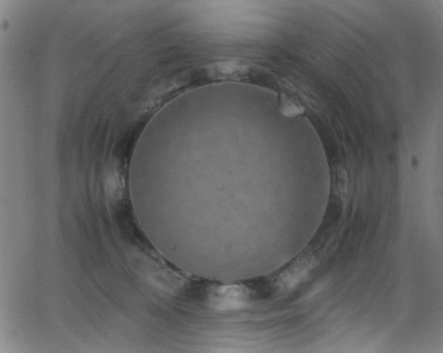 X0000066000324200603031227