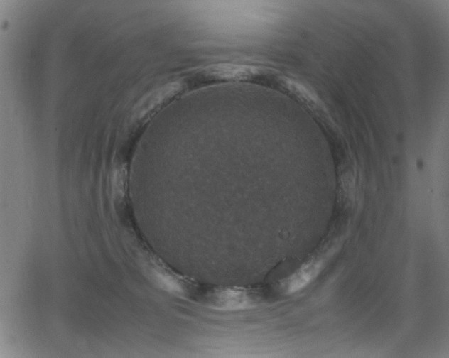 X0000066000325200603031227