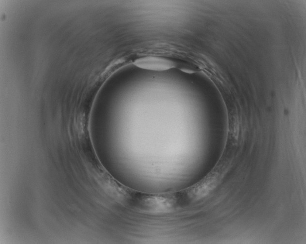 X0000066000326200603031227