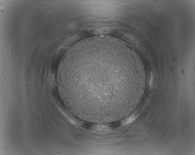 X0000066000327200603031227