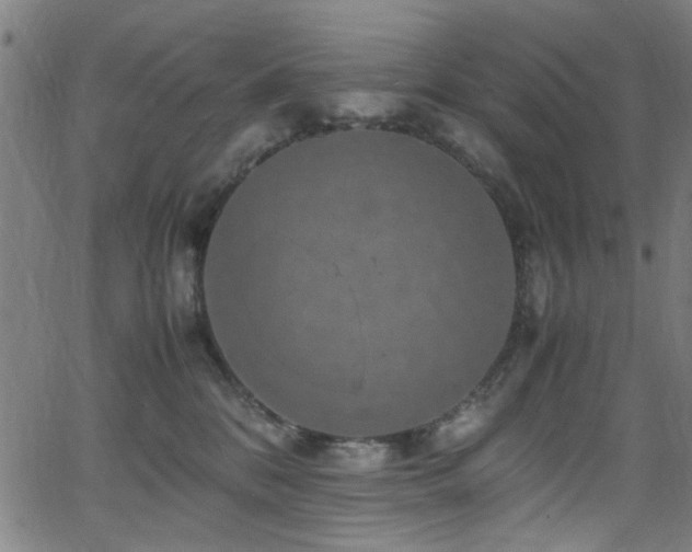 X0000066000328200603031227