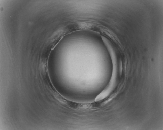 X0000066000329200603031227