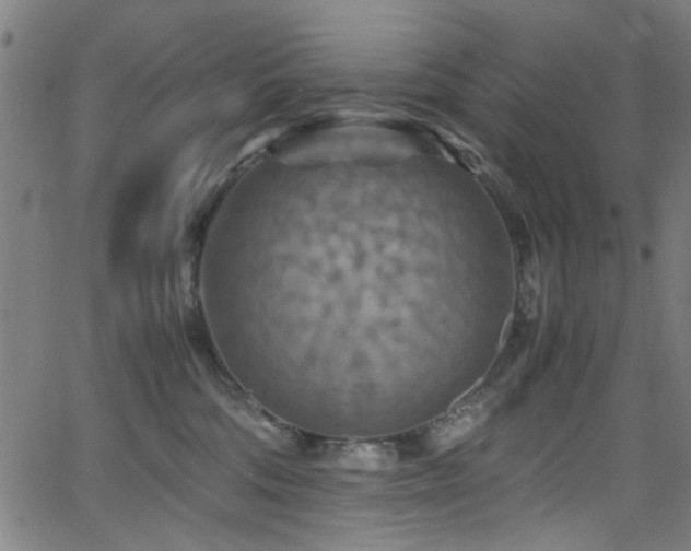 X0000066000330200603031227