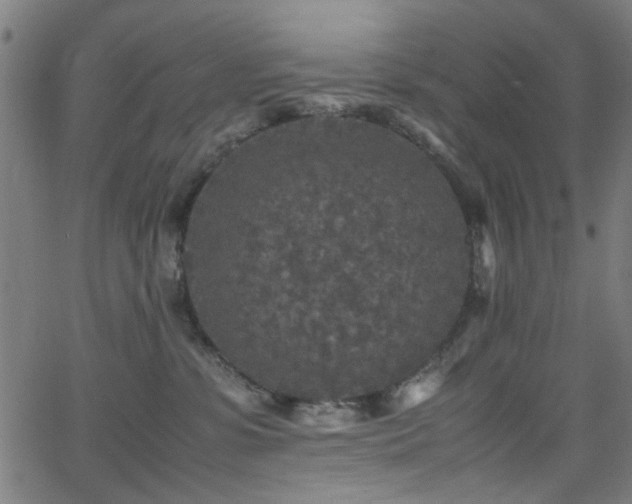 X0000066000331200603031227