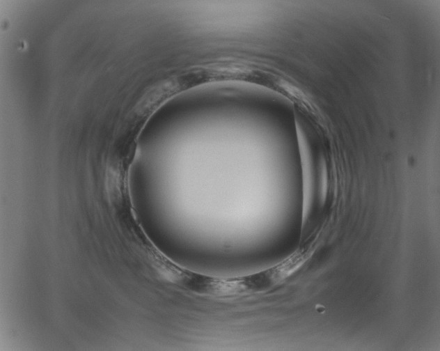 X0000066000333200603031227