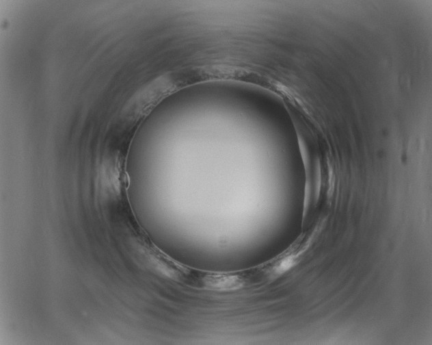 X0000066000334200603031227