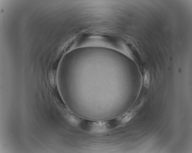 X0000066000335200603031227