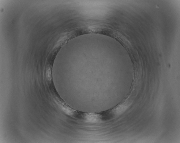 X0000066000336200603031227