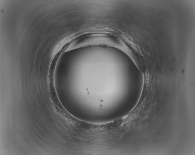 X0000066000340200603031226