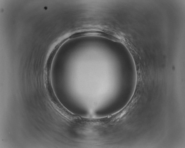 X0000066000342200603031226