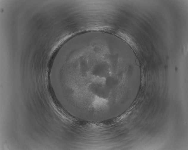 X0000066000346200603031226