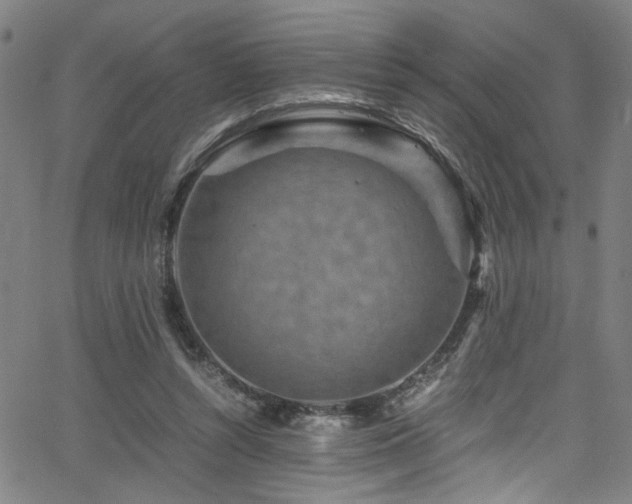 X0000066000352200603031226