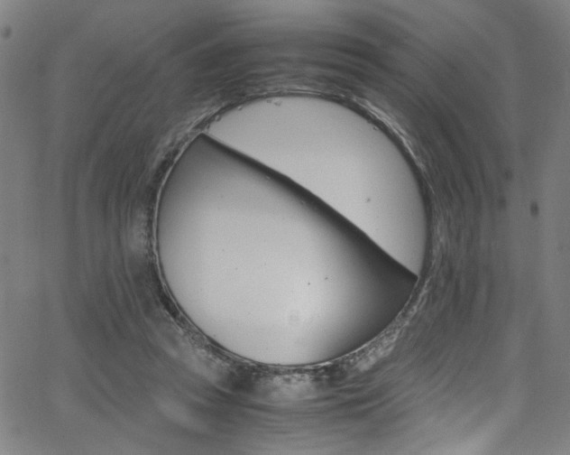 X0000066000353200603031226
