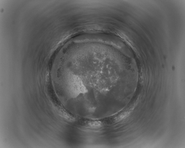 X0000066000355200603031226