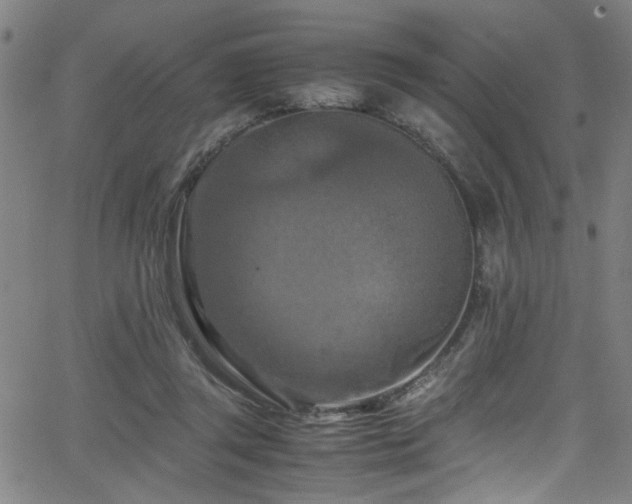 X0000066000357200603031226