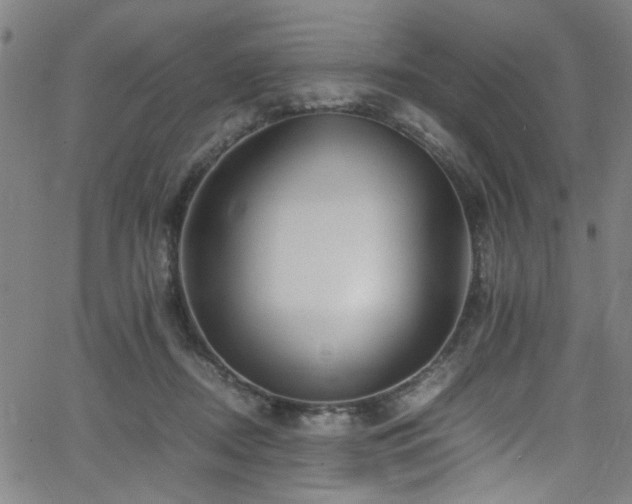 X0000066000362200603031226