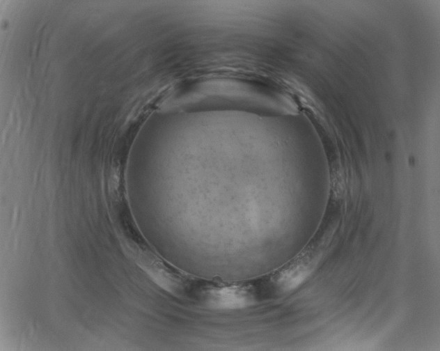 X0000066000365200603031226