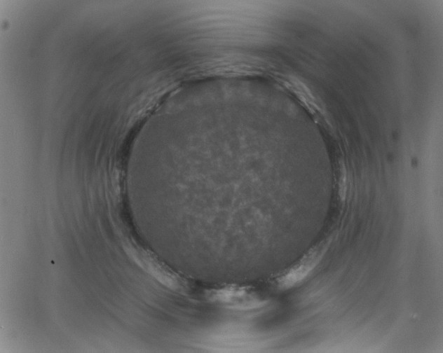 X0000066000366200603031226