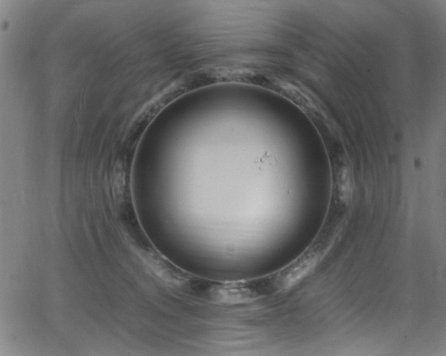 X0000066000372200603031227