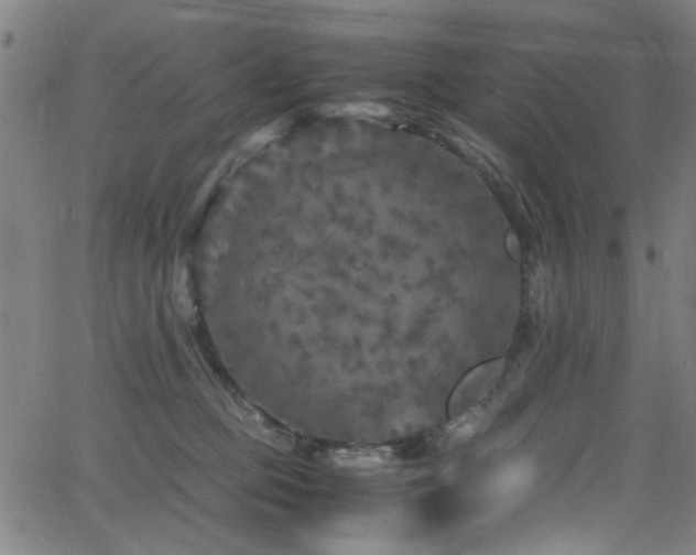 X0000066000373200603031227