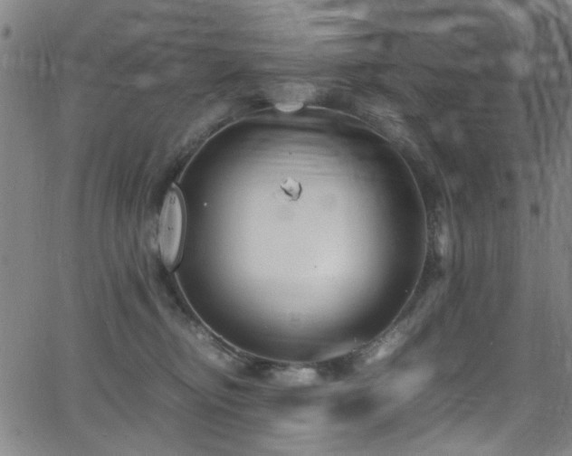 X0000066000374200603031227