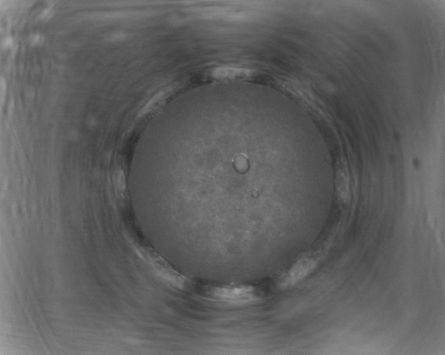 X0000066000375200603031227