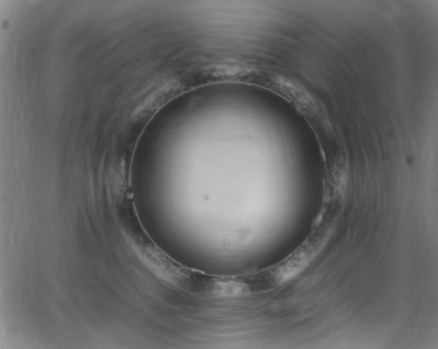 X0000066000376200603031227