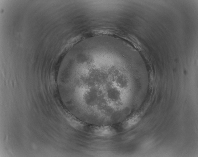 X0000066000377200603031227