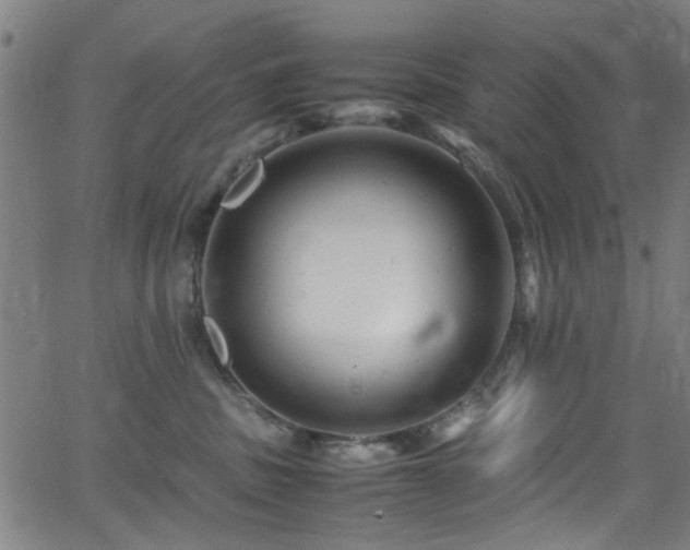 X0000066000379200603031227