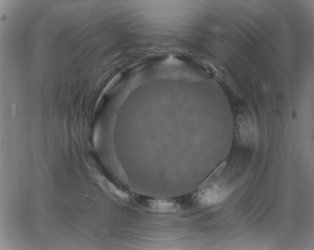 X0000066000380200603031227