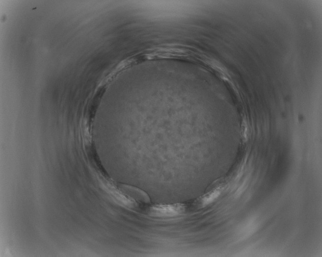 X0000066000381200603031227