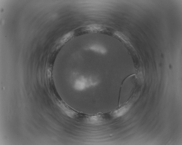 X0000066000382200603031227