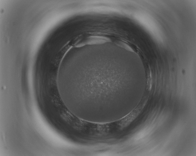 X0000066000383200603031227