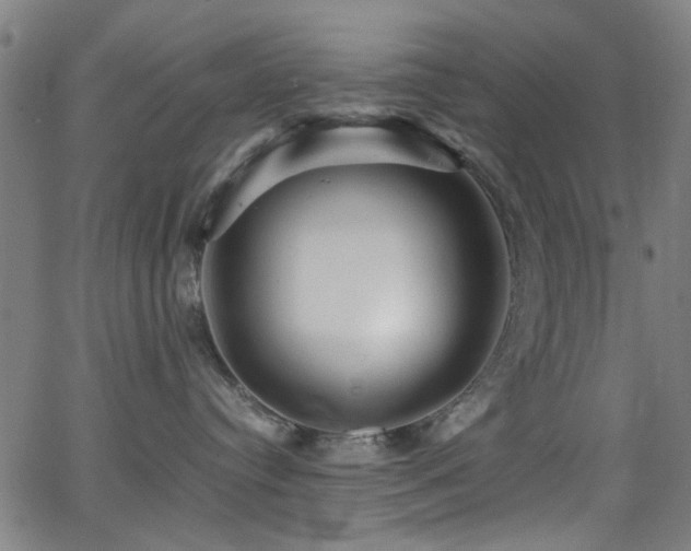 X0000066000384200603031227