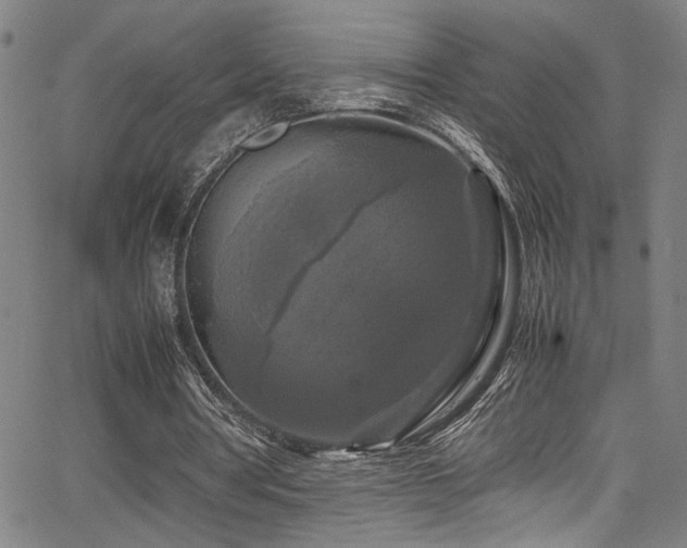 X0000066000386200603031226