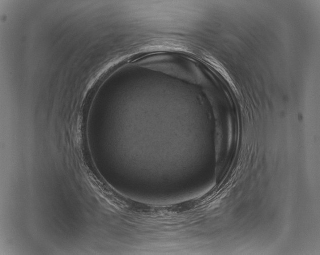 X0000066000387200603031226
