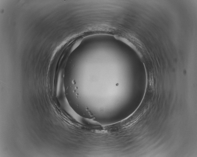 X0000066000388200603031226