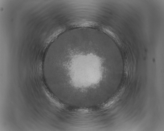 X0000066000394200603031226