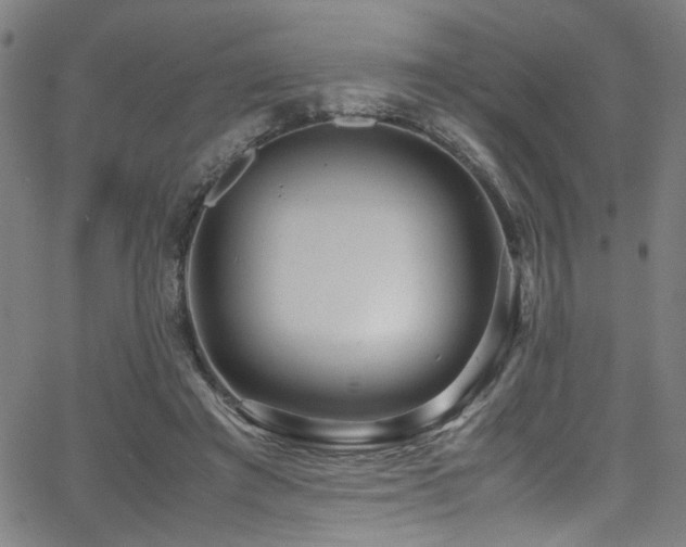 X0000066000401200603031226