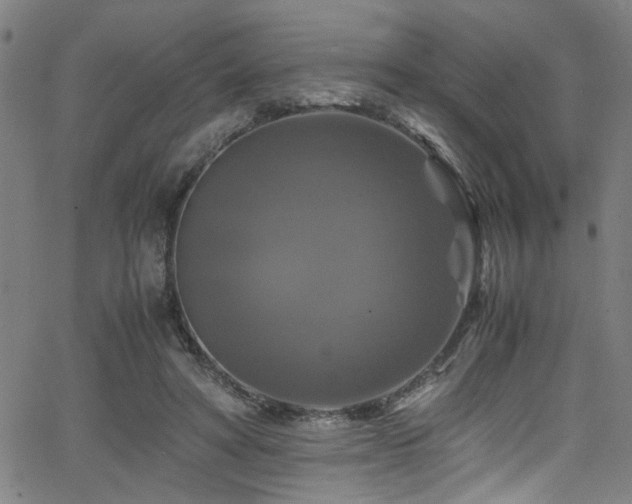 X0000066000402200603031226