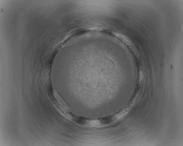 X0000066000409200603031226