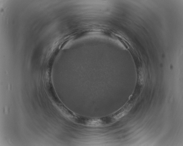 X0000066000410200603031226