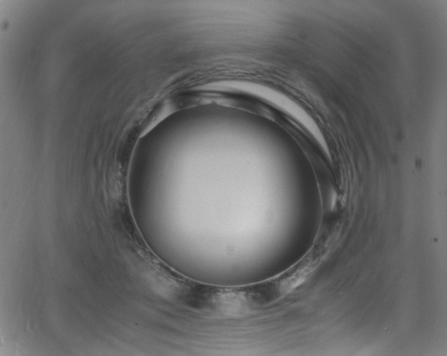 X0000066000413200603031225