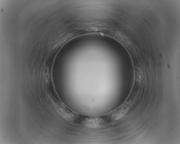 X0000066000414200603031225