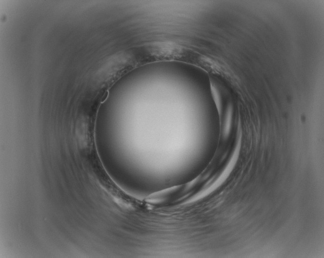 X0000066000416200603031225